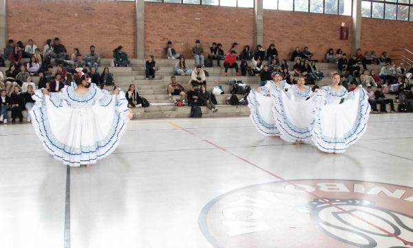 Muestra de Electivas Libres