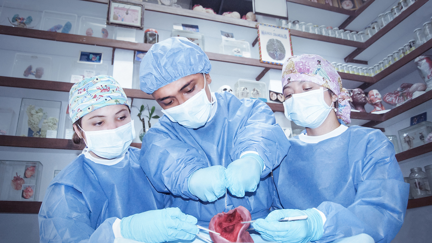 Laboratorio de Morfología