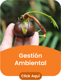 Grupo de investigación Gestión Ambiental. Click Aquí