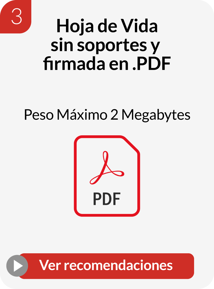 3 hoja de vida