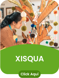 Grupo de investigación XISQUA. Click Aquí