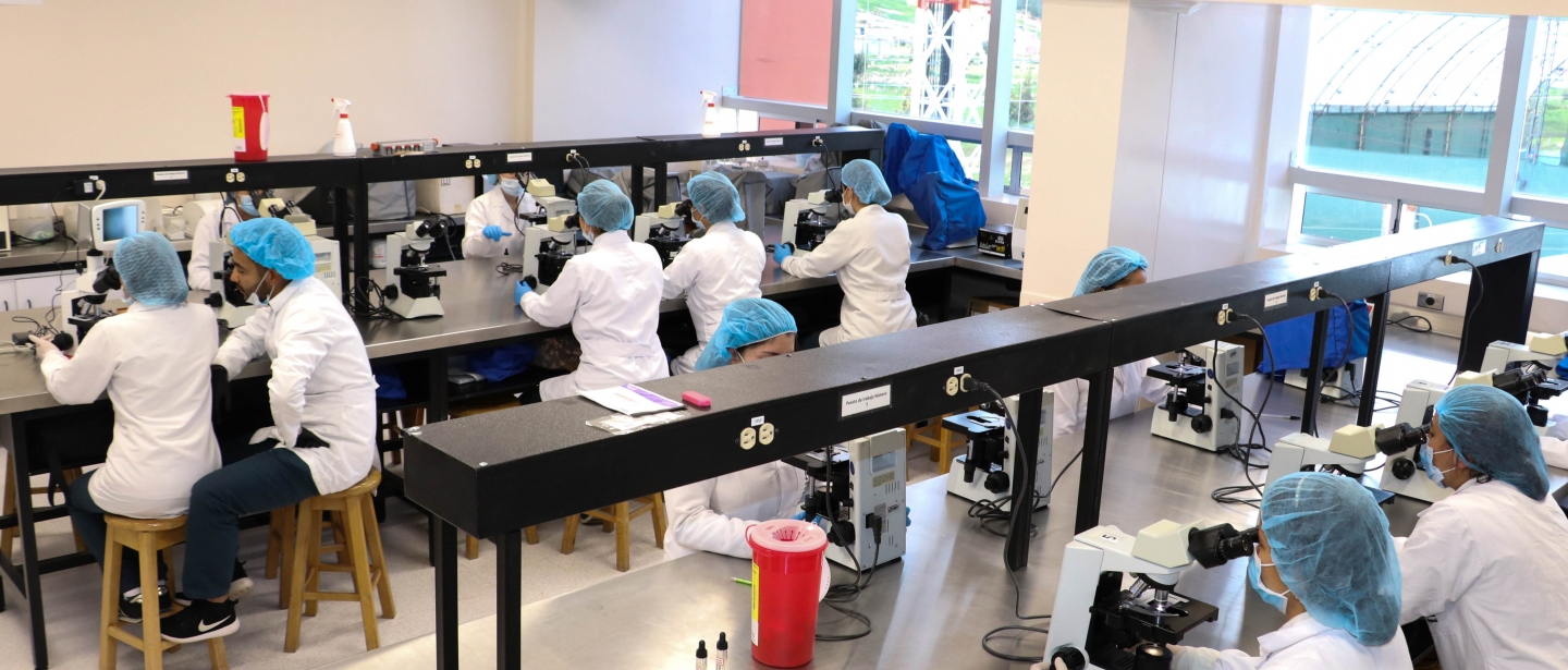 programa de Bacteriología y Laboratorio Clínico 