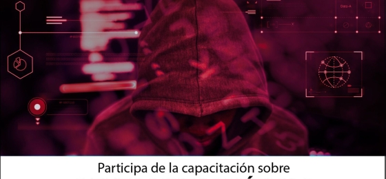 Capacitación Programa de Derecho y Ciencias Políticas