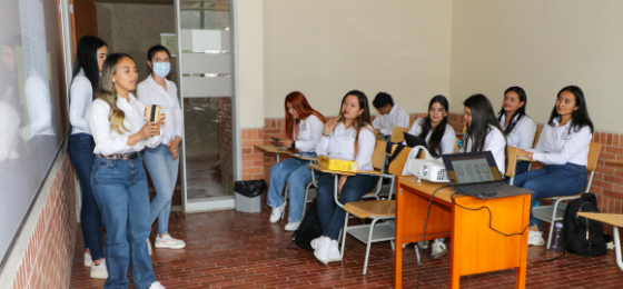 Proyectos de Ingeniería Industrial